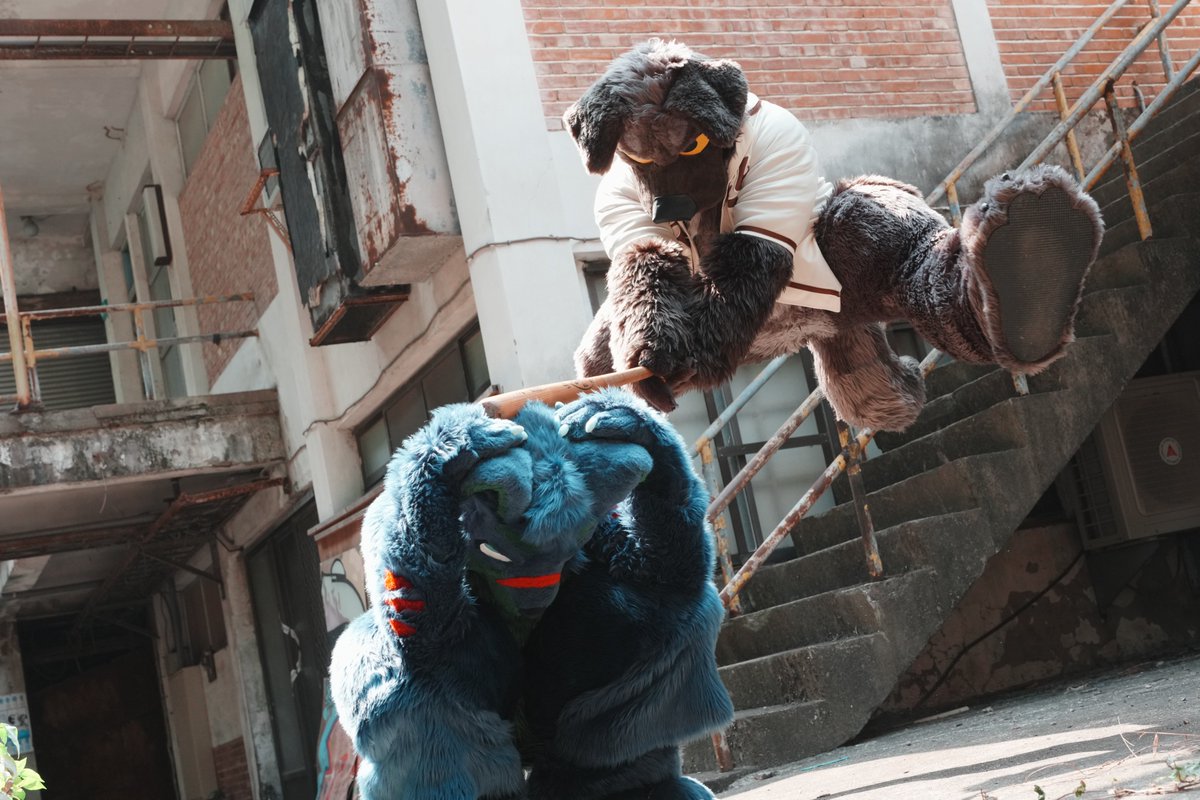 Bagel 🥯▼・ᴥ・▼🥯 tweet media