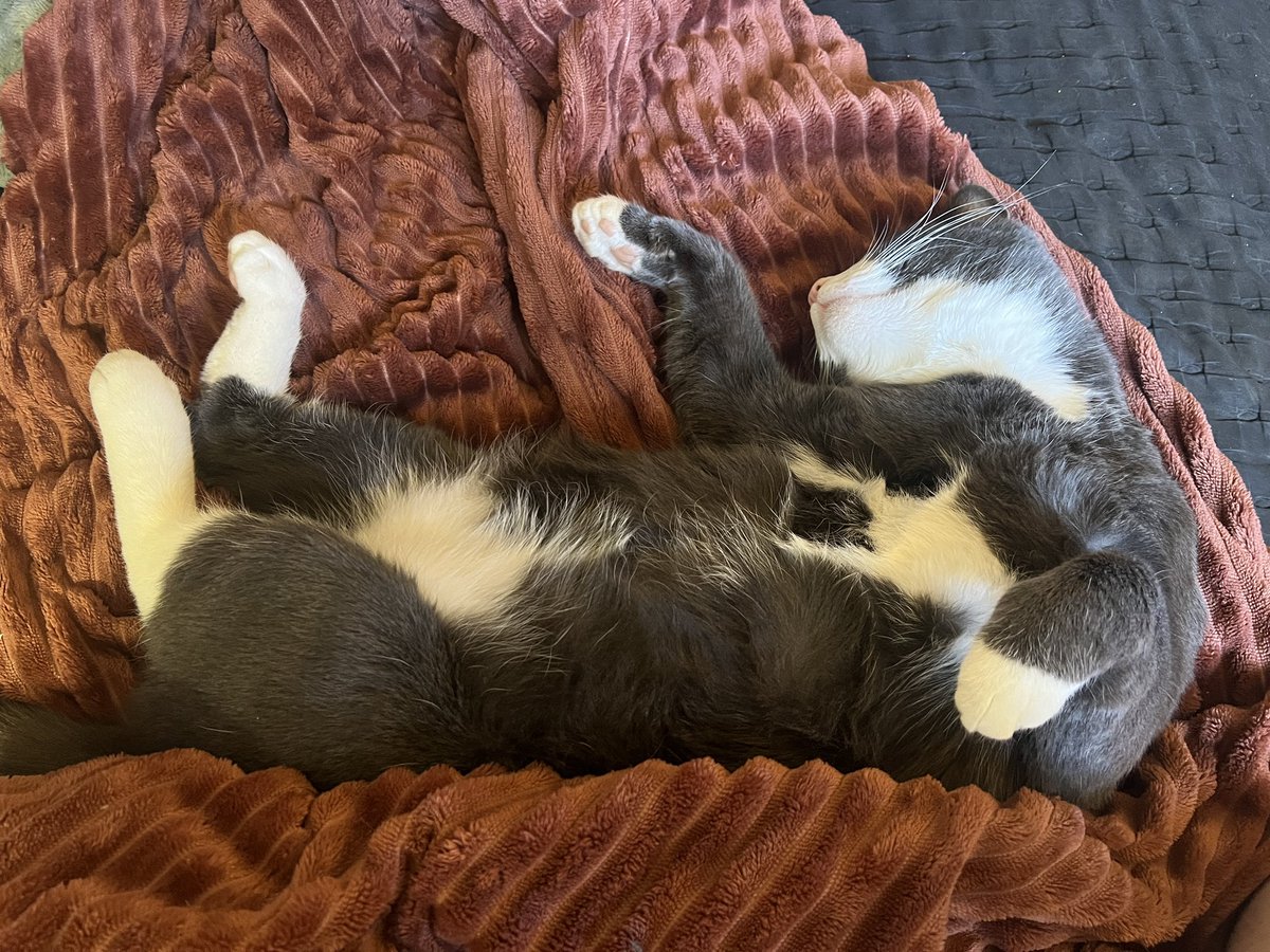 Erin 𓅉 tweet media