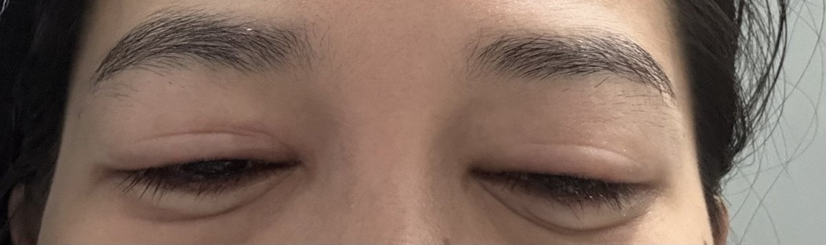 yang mulia tweet media