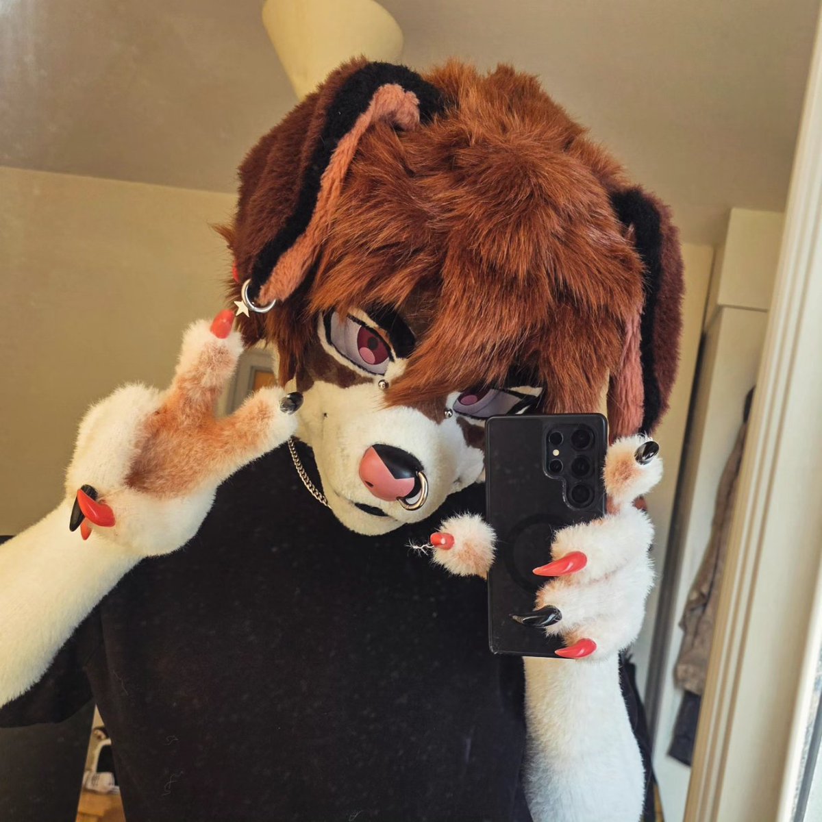 locky 🐶 tweet media