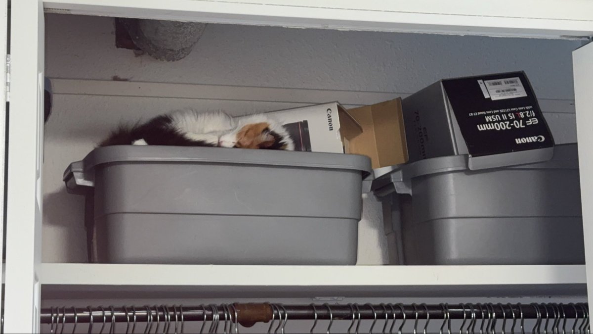 Alexandra Noad tweet media