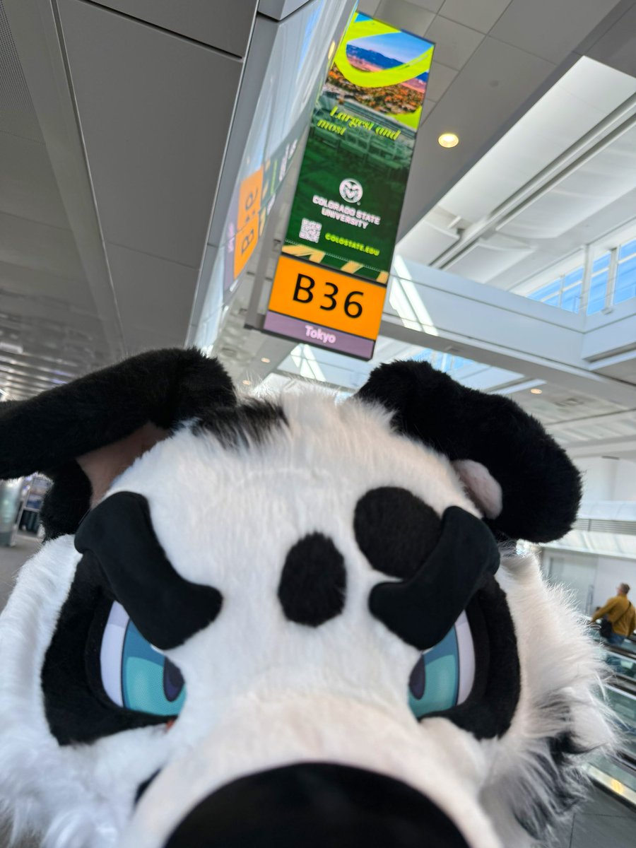 Avery | Finn of Dogtropolis tweet media