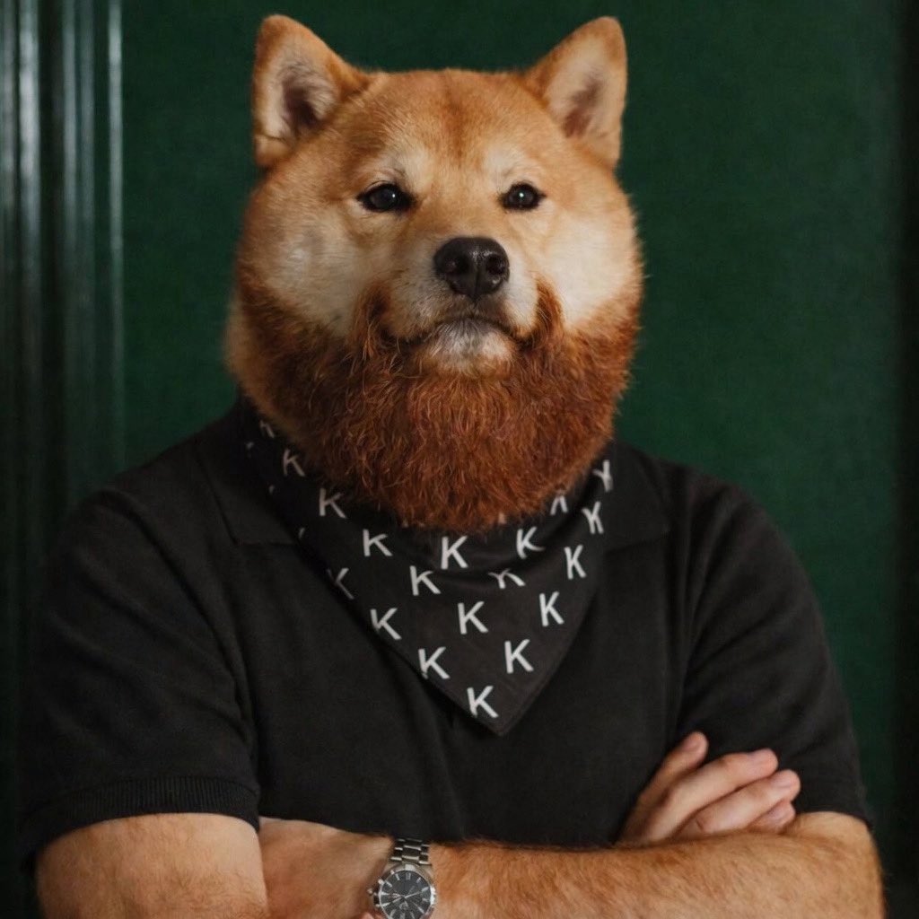 𝕏cellent 🛹 tweet media