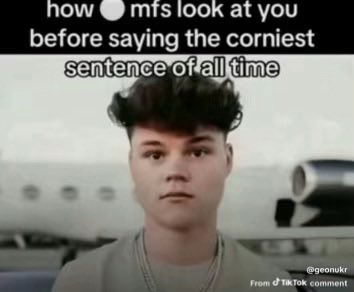 rose tweet media