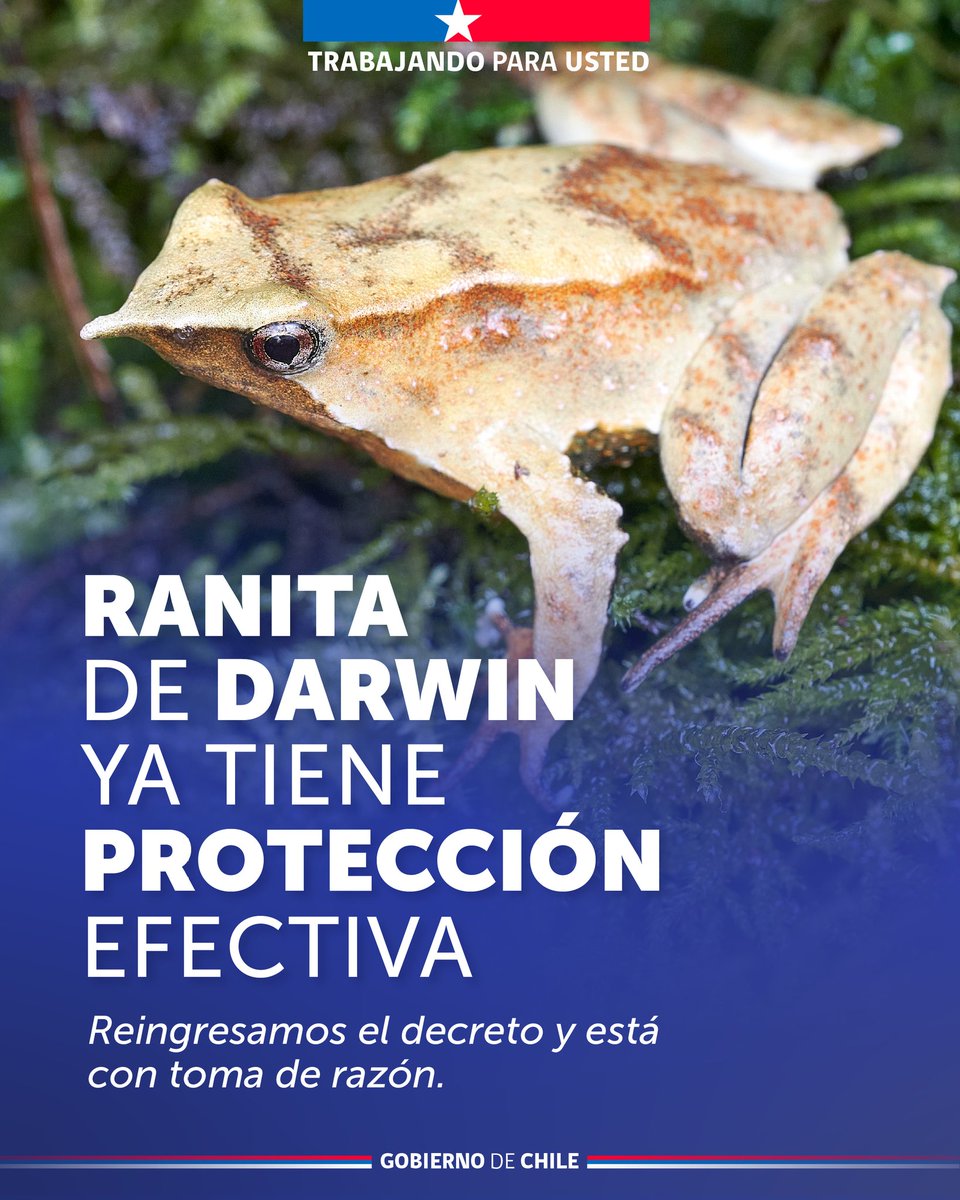 Ministerio del Medio Ambiente tweet media