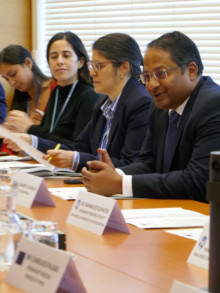 EU Ambassador Carl Hallergard 🇪🇺🇺🇳 tweet media