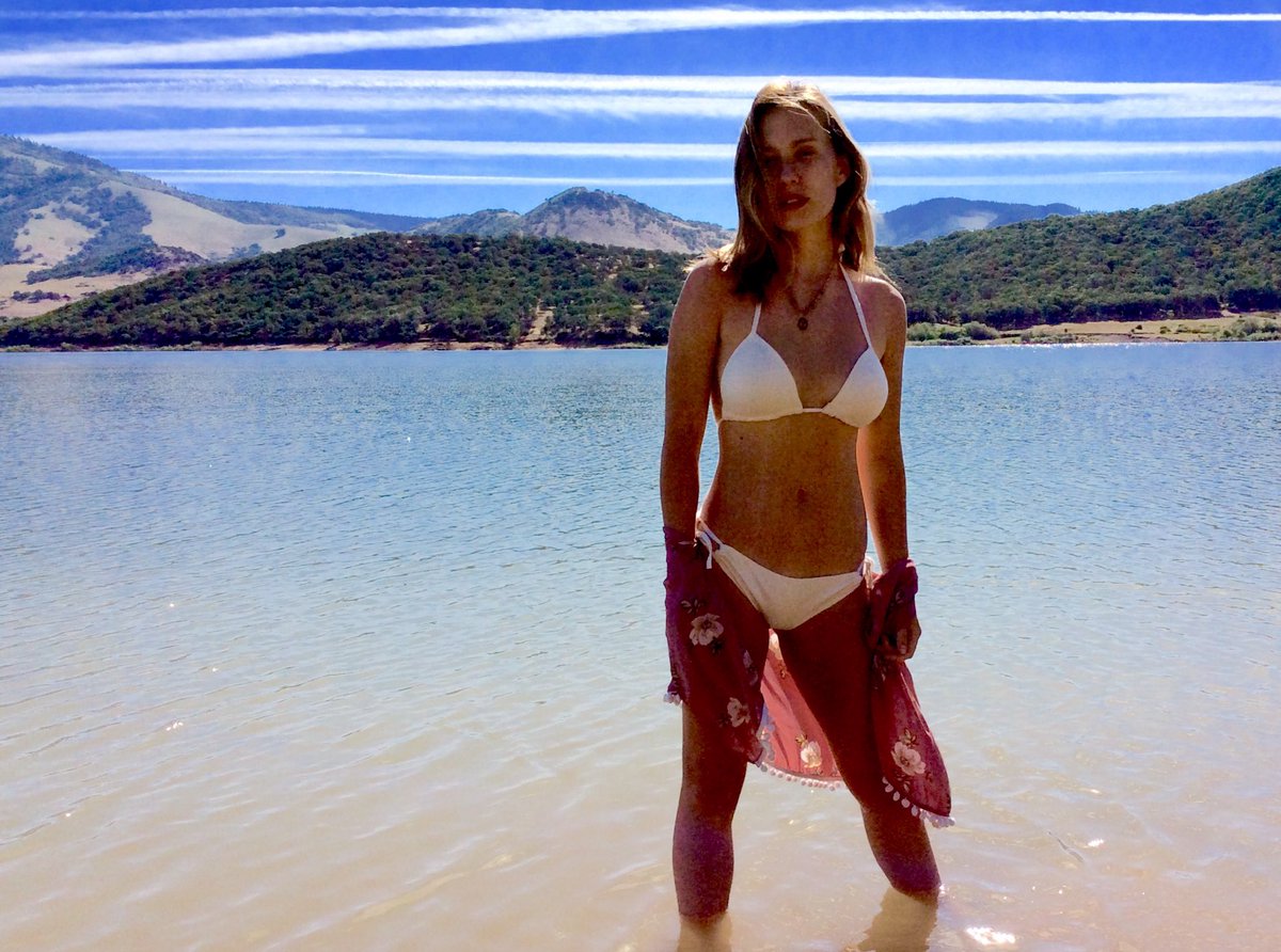 Paul J. von Hartmann tweet media