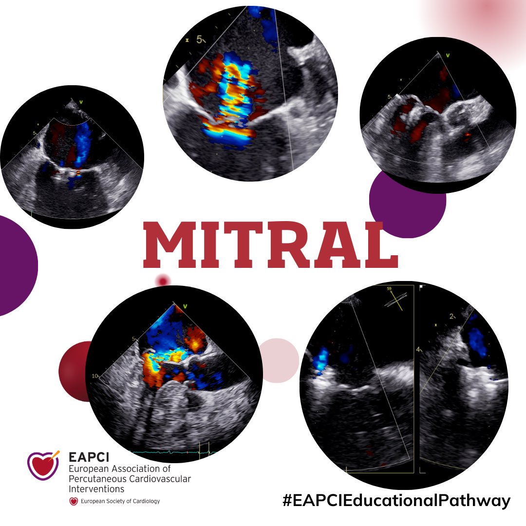 EAPCIPresident tweet media