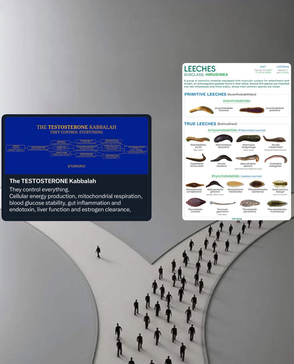 Jamal Dinkoui tweet media