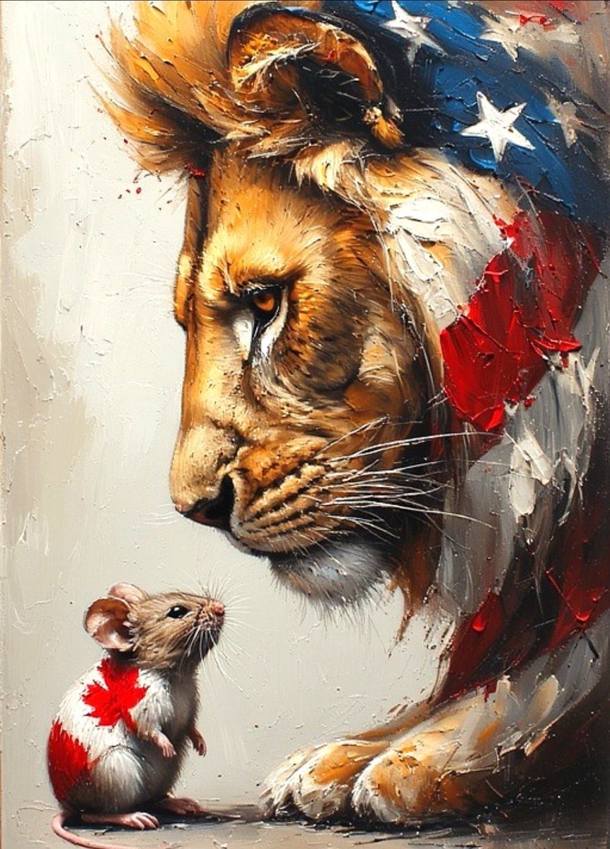 Saltwater Cowboy tweet media