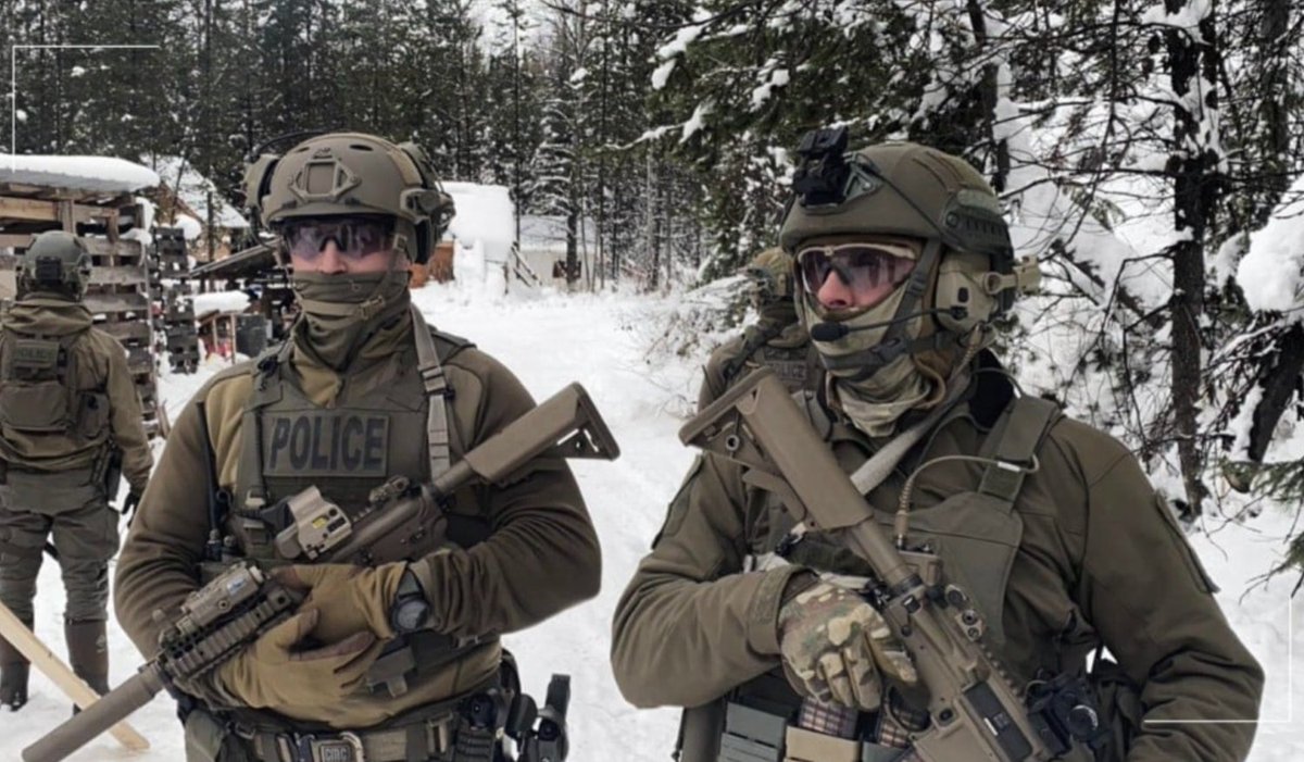 Peace Brigades International - Canada tweet media