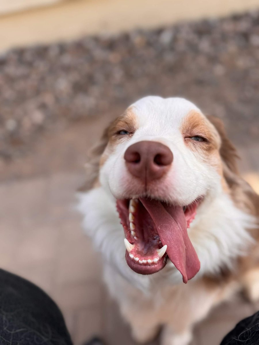 Jared Solar tweet media