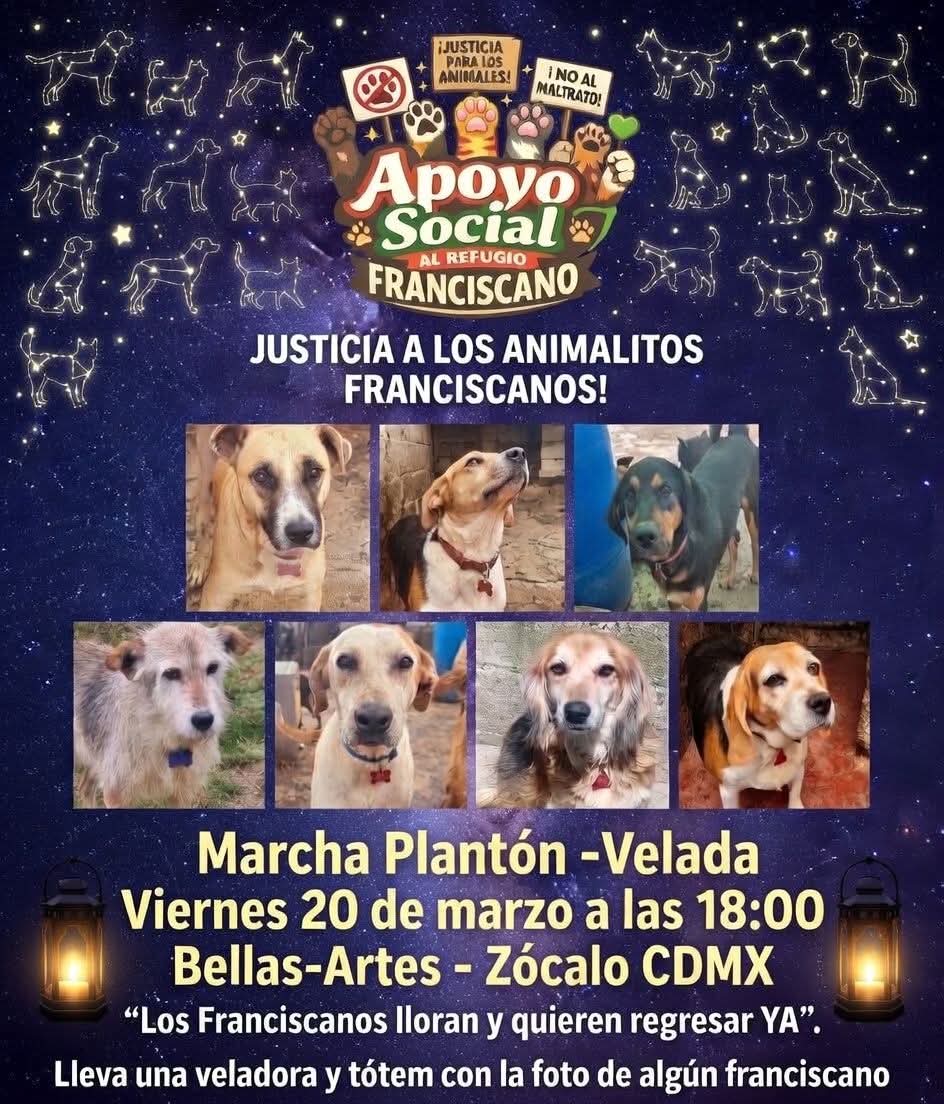 Aby Torres tweet media