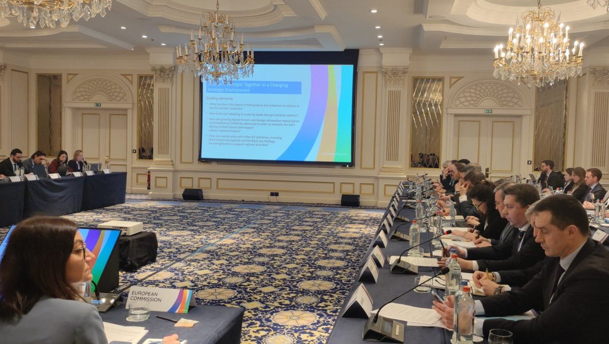 Daniela Morari tweet media