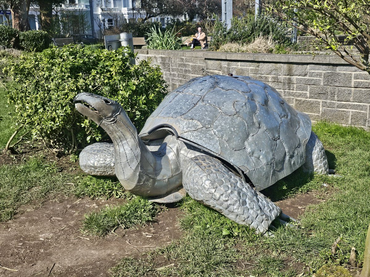 Herman Torty tweet media