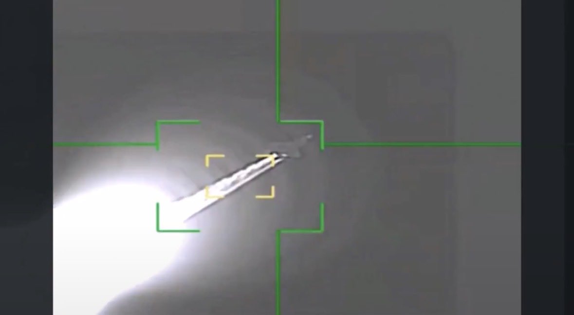 Petruška tweet media