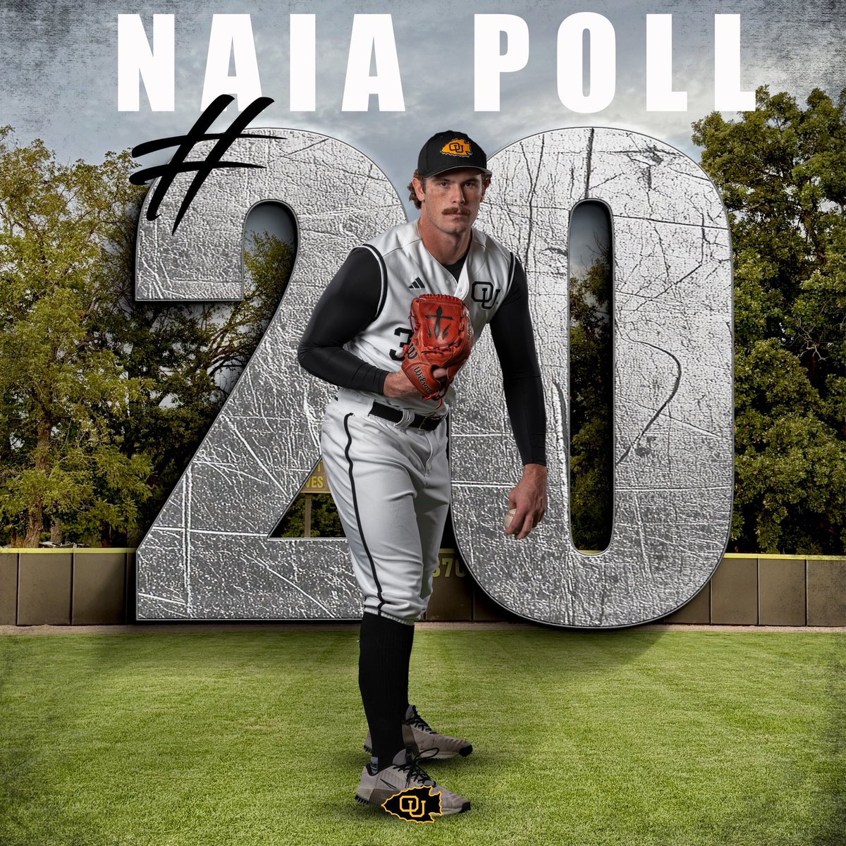 Ottawa Braves Baseball tweet media