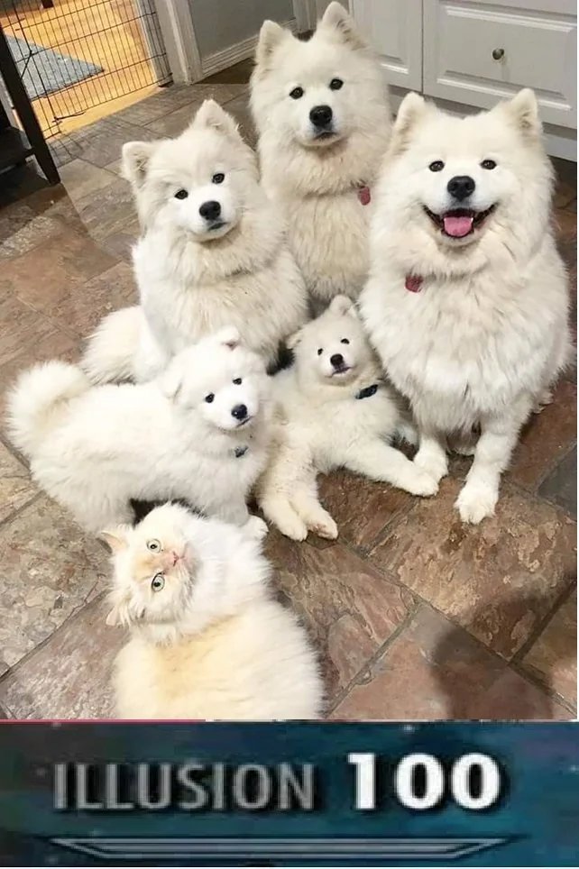 Mohamed "TheFearMaster" Saad (Commissions open) tweet media