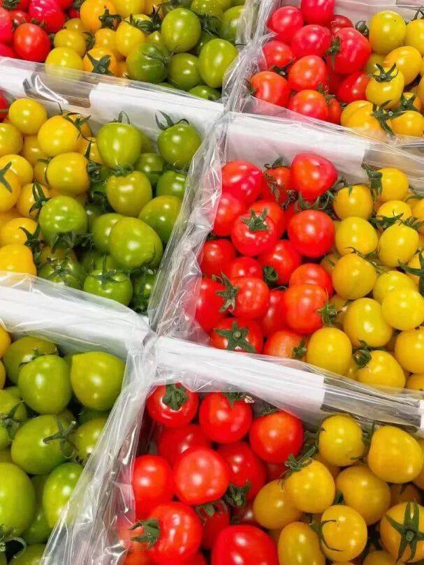 nichollasbnewjkjw tweet media