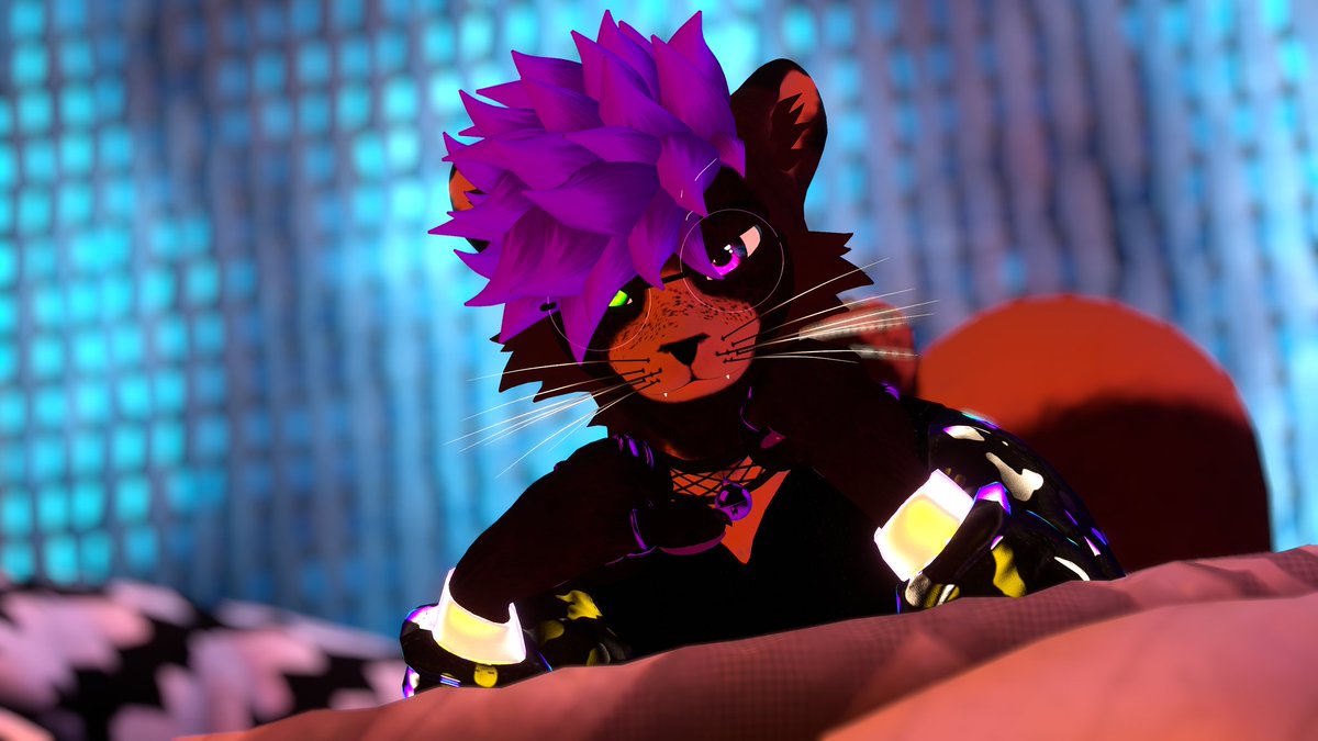 Milo is tired tweet media