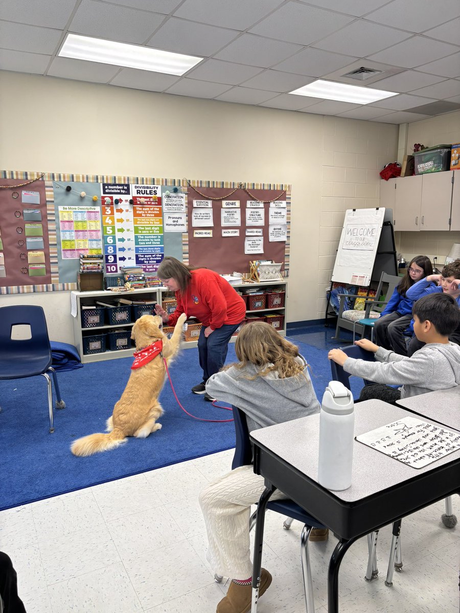 McKinley Ave School tweet media