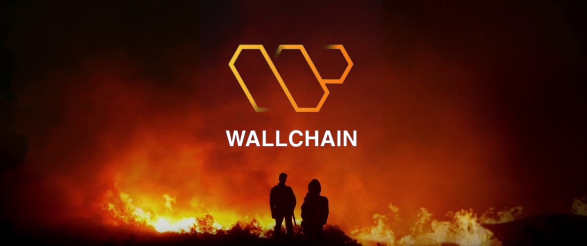 RΞBΞLLION tweet media