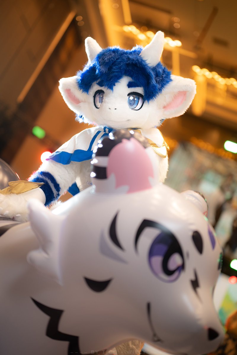 大灰啊灰啊灰 tweet media