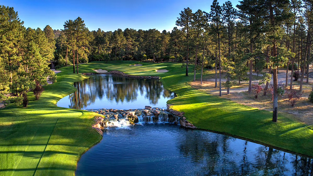 Braden Thornberry tweet media