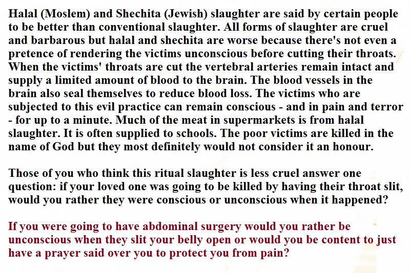 Martin E. Boyle tweet media