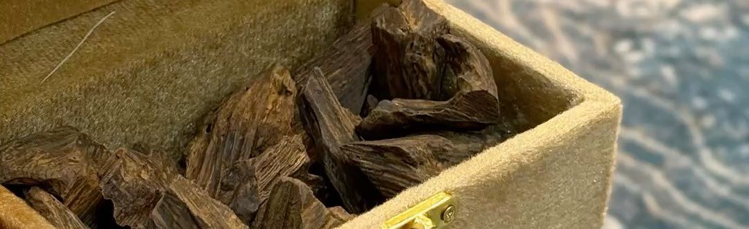 سويّر tweet media