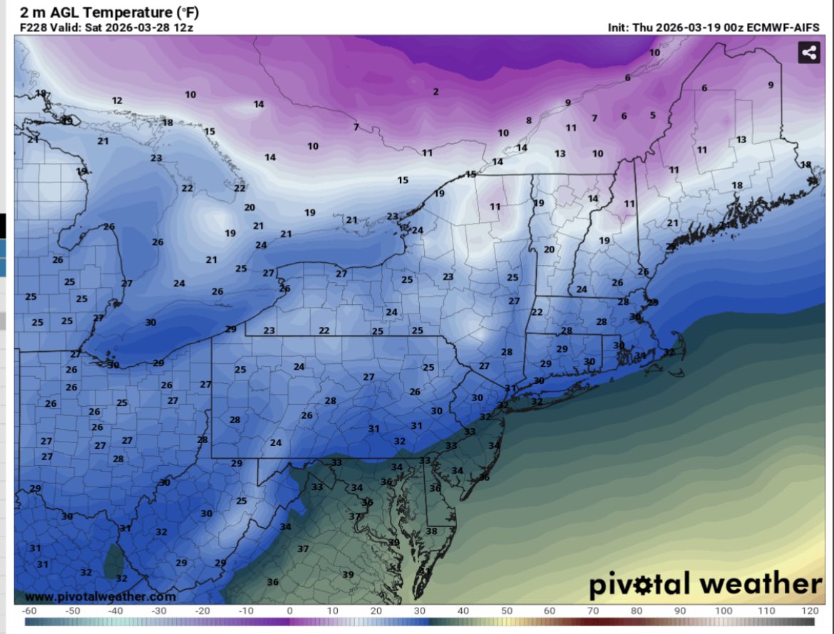 Misty_nightfall tweet media