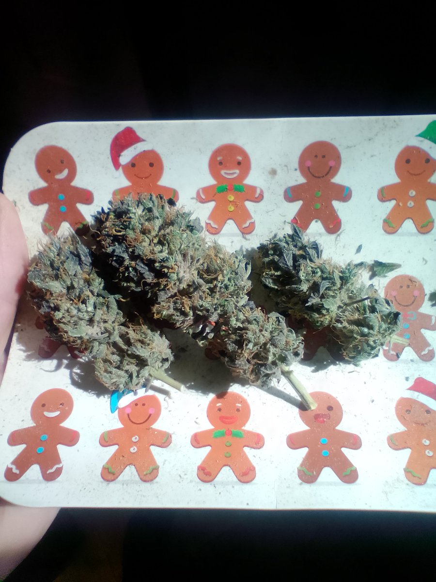 🇺🇲 HomeGrowLiberty 🇺🇲 tweet media