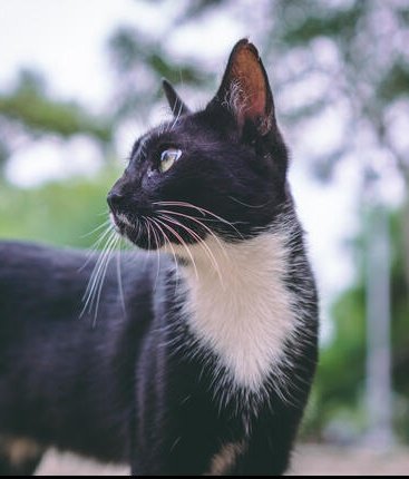 neptune 🔥🪳 tweet media