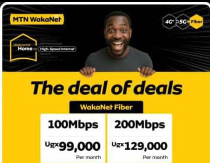 Nature's Pulse Photography tweet media