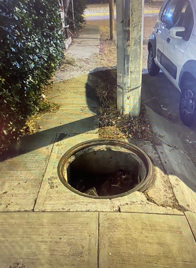 Ernesto Guzmán tweet media