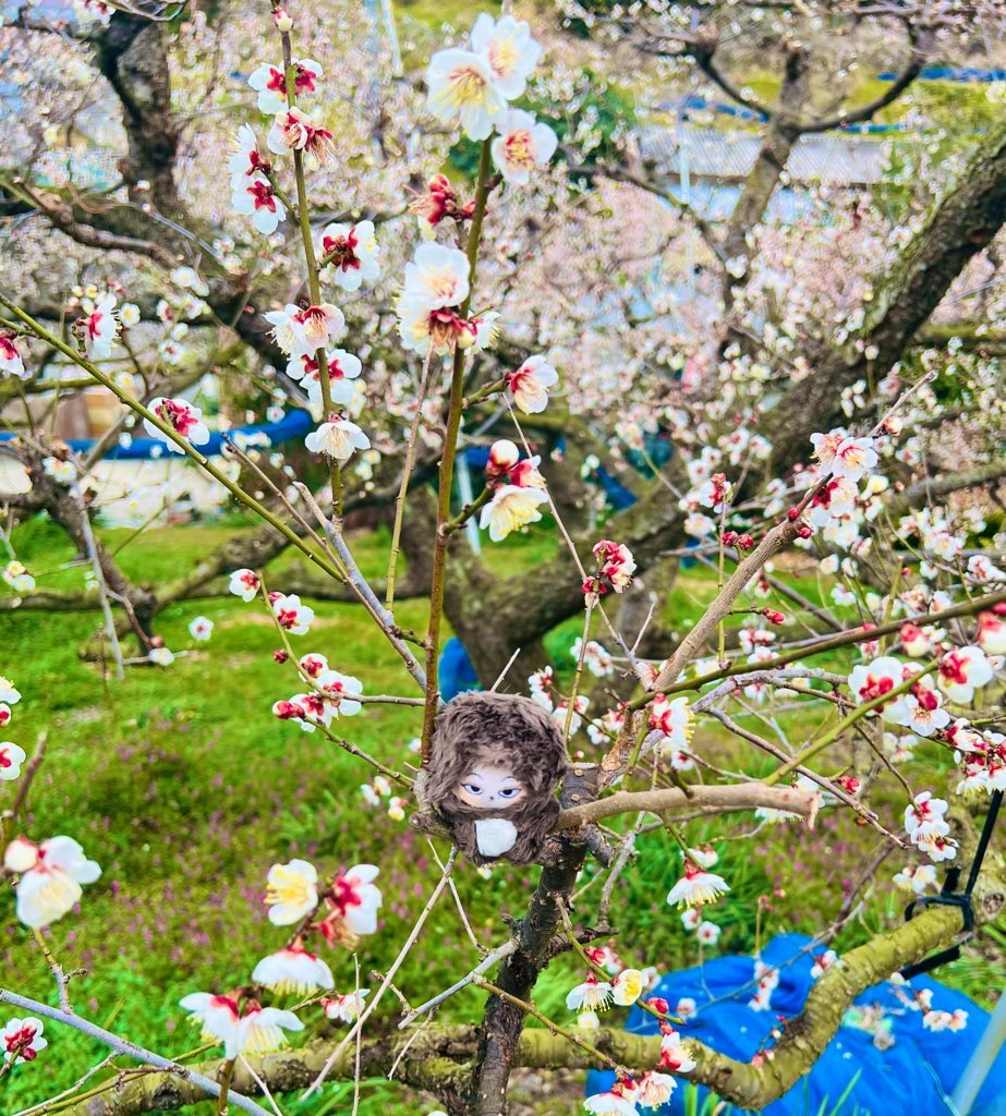 ソんプン tweet media