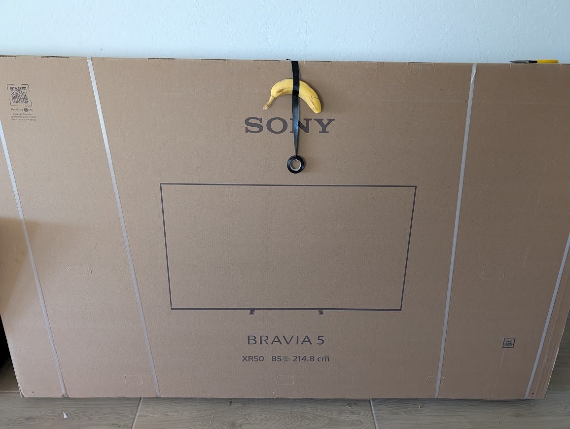 🌵 RC | The Nostalgia Pro🕹️📺 tweet media