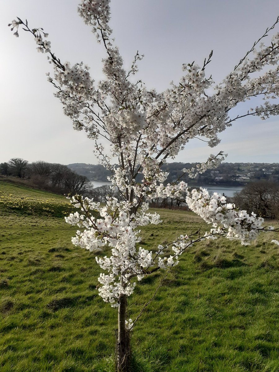 Chris Parry tweet media