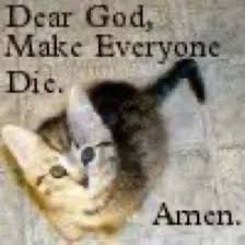 Nick “The African Wild Dog” tweet media