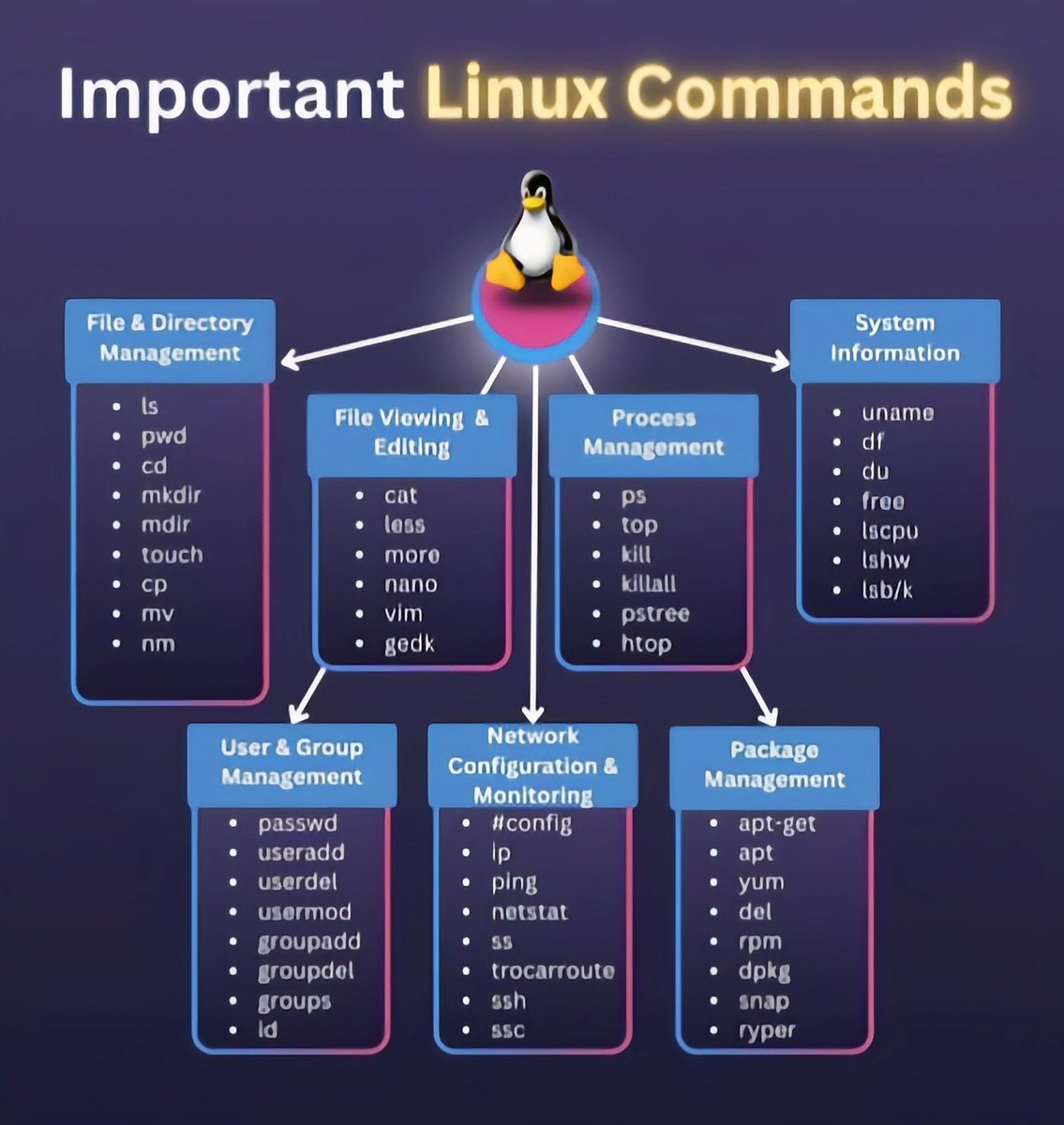 Megha Bhardwaj tweet media