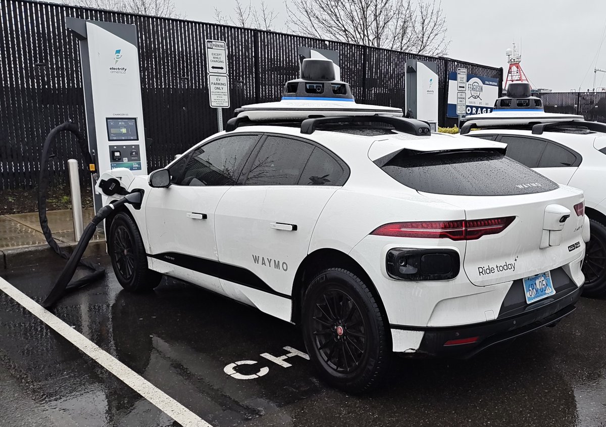 DJ Straylight ✌ tweet media