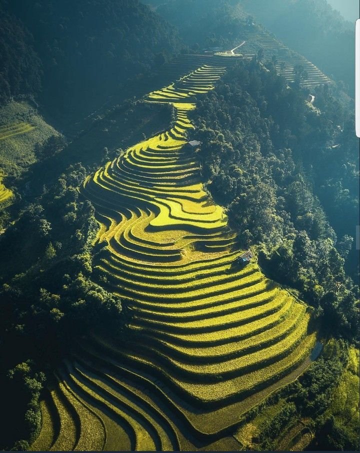 Mathonymics tweet media