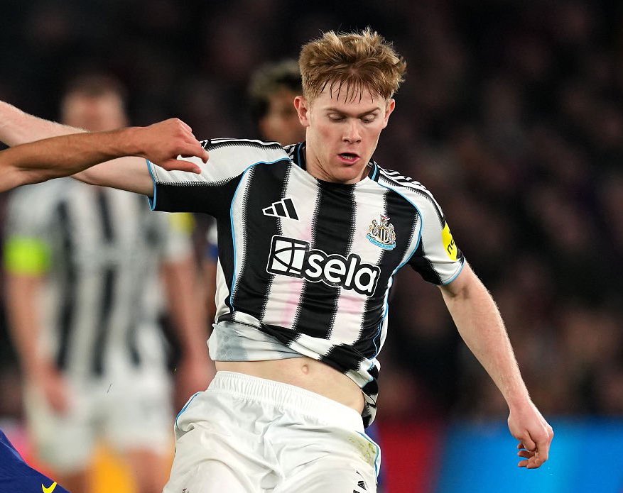 Shirtless PL tweet media