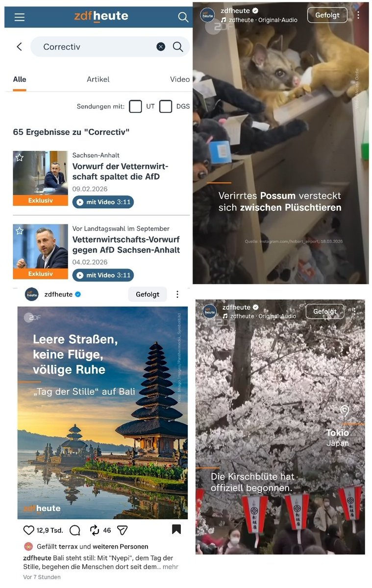 ÖRR Blog. tweet media