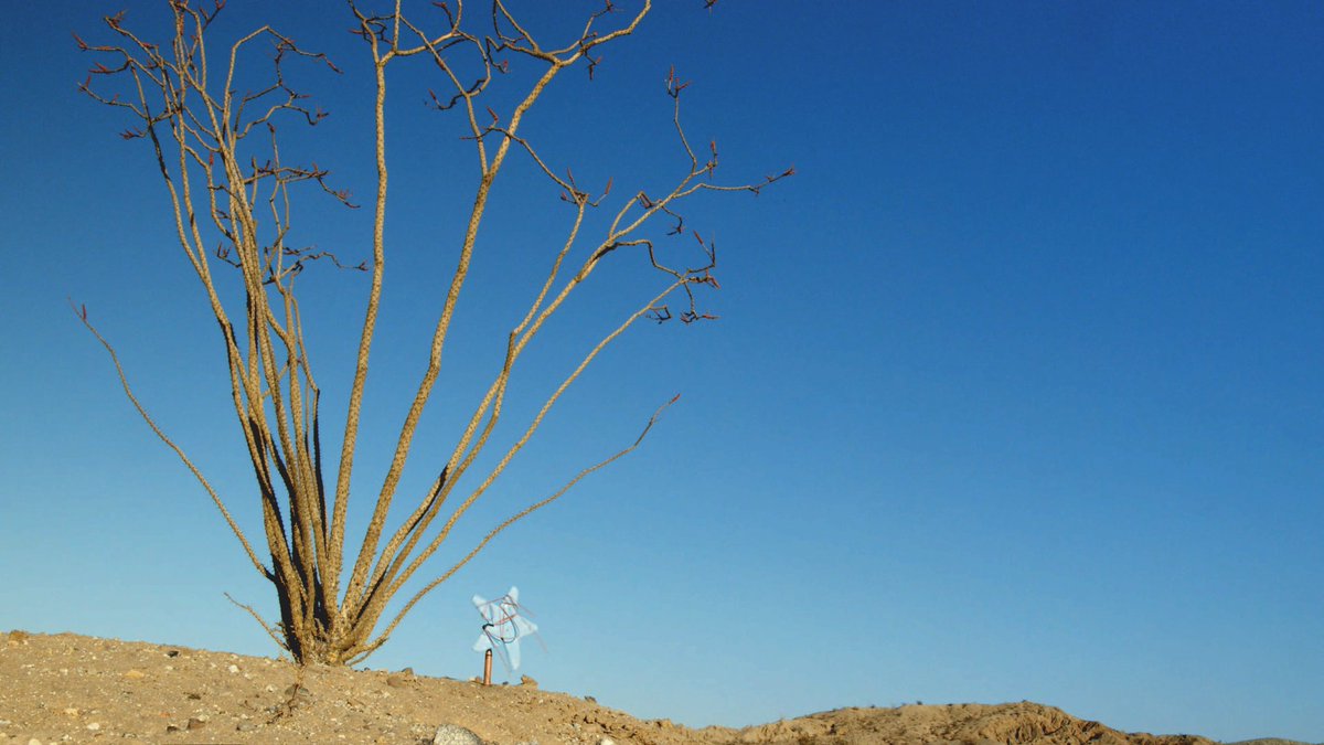 Dragonball Bloorag tweet media