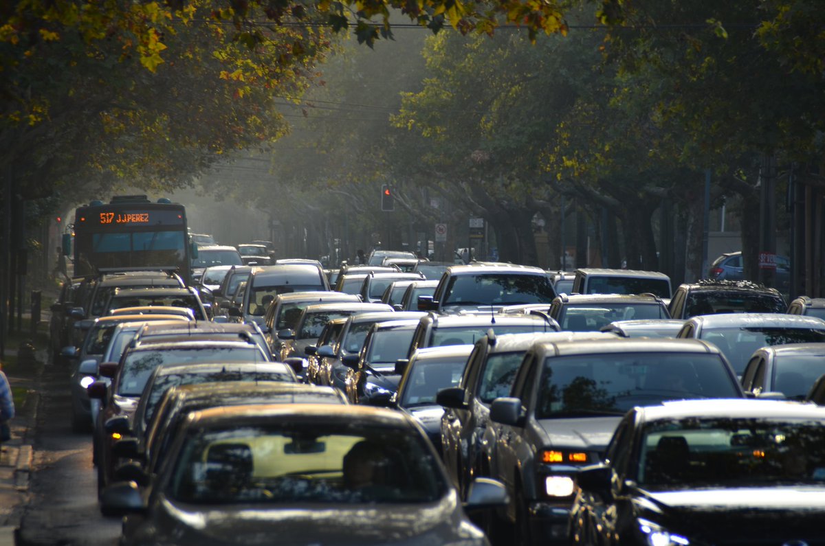 Ricardo Hurtubia (⧖) tweet media