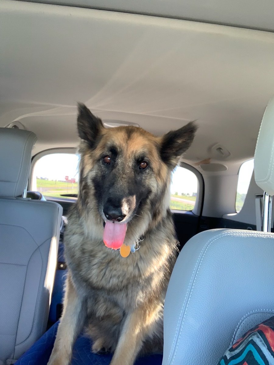 Polyphobic Paige 🛼🤍 tweet media