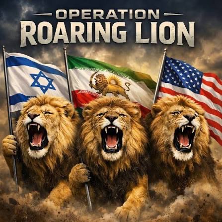 SCIFZOMBIE🧟‍♂️🇺🇸 🇮🇱 tweet media