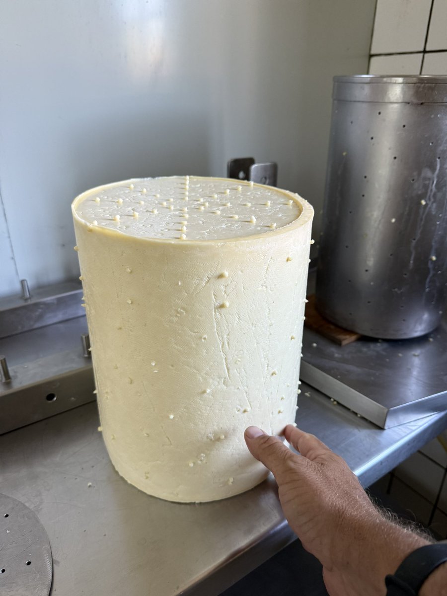 Martin Rosberg - Quesos naturales tweet media