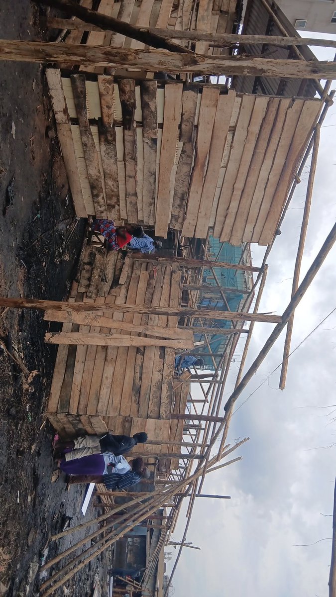 Rexba limited tweet media